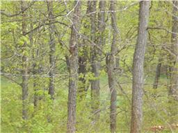2015 Tammy Dr, Springfield, TN 37172-7051