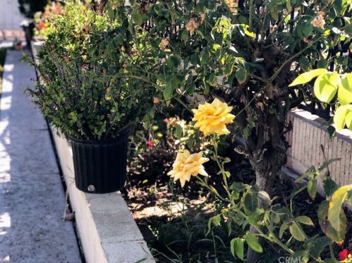 1602 Raymar St, Santa Ana CA 92703-4619 exterior