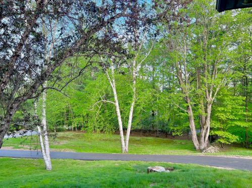 78 Ridgeview Rd, Weare, NH 03281-5933