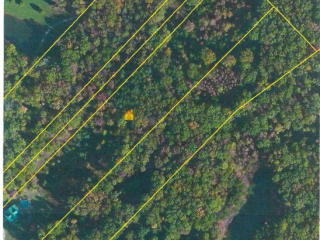 1509 Low Gap Rd, Ravenscroft, TN 38583-3373