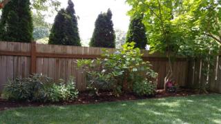321 103rd St, Seattle, WA 98125-7100