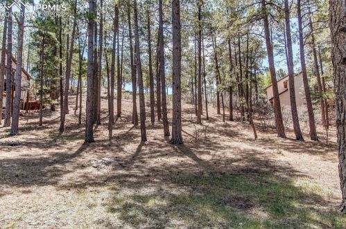 17485 Chipped Arrow Way, Woodmoor CO 80132-8505 exterior