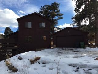 70 Buttermilk Ln, Bailey, CO 80421-2365