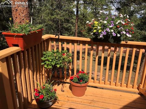 84 Pne Ln, Woodland Park CO 80863-9535 exterior