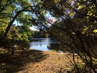 334 Shore Dr, Wyckoff, NJ 07481-2434
