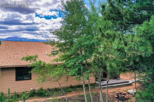 848 Cottonwood Lake Dr, Divide, CO 80814-9707