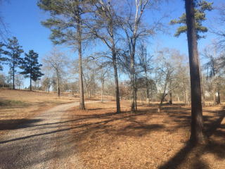4066 Ruffin Dr, Hephzibah, GA 30815-4746