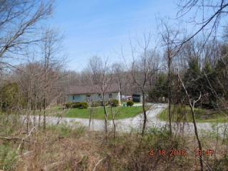63 Neepaulin Dr, Wantage, NJ 07461-1315