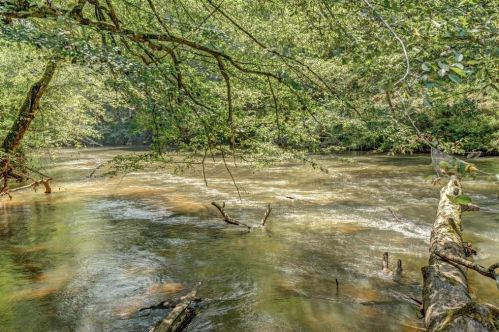 3700 Old Cannon Bridge Rd, Demorest, GA 30535-4707