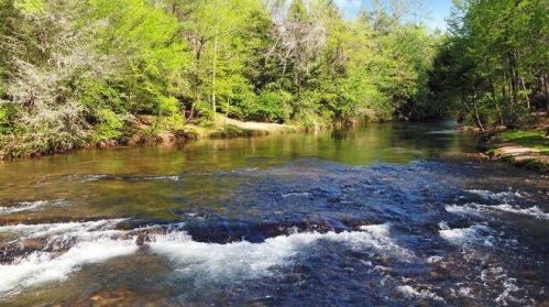 446 White Pine Dr, Dahlonega, GA 30533-2554