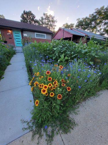 7021 Zuni St, Denver CO  80221-7402 exterior