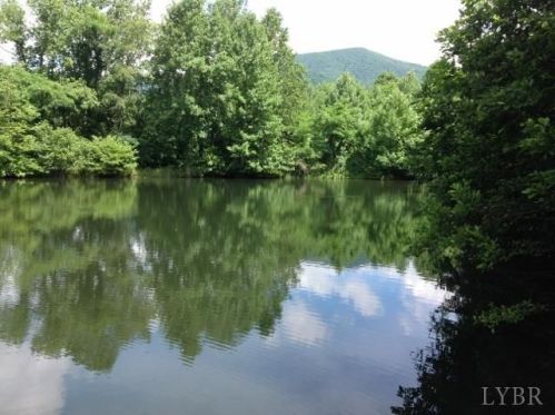 3272 Wheats Valley Rd, Bedford, VA 24523-6073