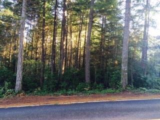 321 Lakeland Dr, Allyn, WA 98524-8722
