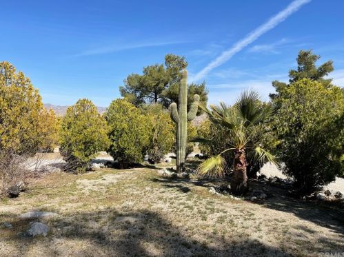 48890 Palo Verde Rd, Morongo Valley, CA