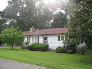 150 Sullivan Dr, Springville, TN 38256-4603
