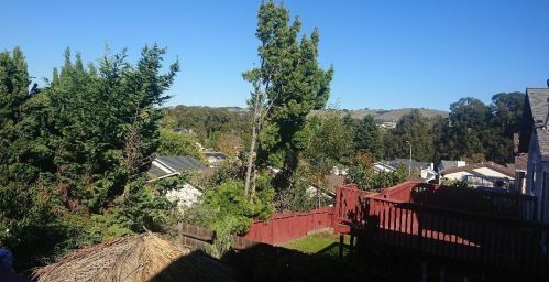 3326 Jamie Way, Hayward, CA 94541-3558