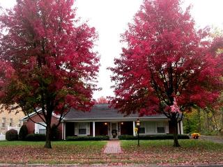 611 Elm St, Brownsville, IL 62821-1259
