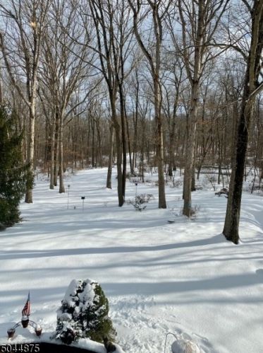 45 Dogwood Ter, Millington, NJ 07946-1929