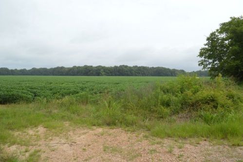 1036 Insemore Rd, Carpenter, MS 39086