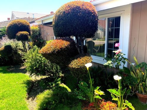 18893 Santa Isadora St, Santa Ana CA  92708-6218 exterior