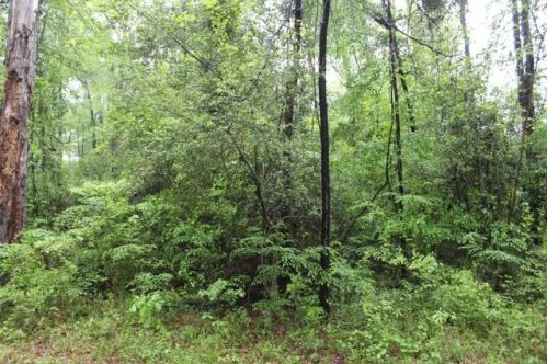 554 Admiral Dr, Fairmount, TX 75948