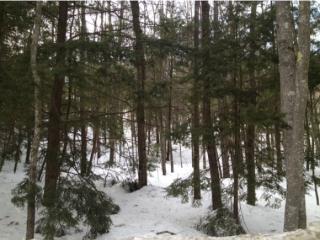 2 Stage Rd, Sanbornton, NH 03269-2500