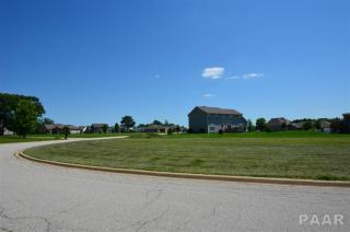 305 Conaghan Dr, Northern Oaks, IL 61535-9548