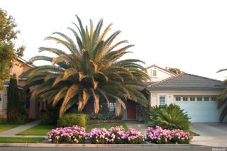 3112 Flushing Meadows Dr, Modesto, CA 95355-8413