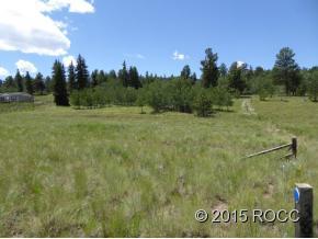 2385 Windmill Dr, Hartsel, CO 80449-8508