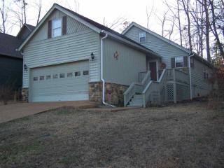 20 Masters Ct, Counce, TN 38326-8019