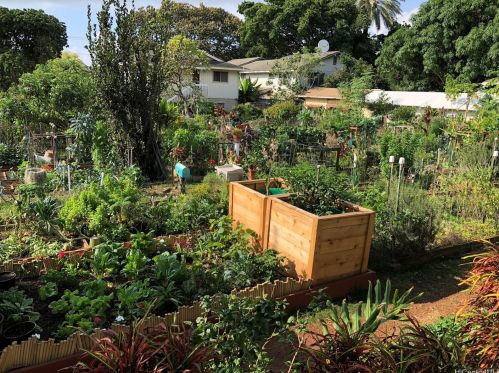 3824 Leahi Ave, Honolulu HI  96815-4462 exterior