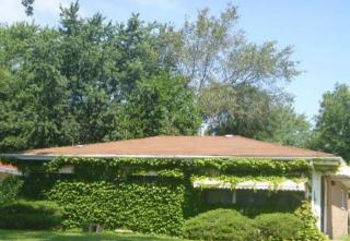 3042 163rd St, Dixmoor, IL