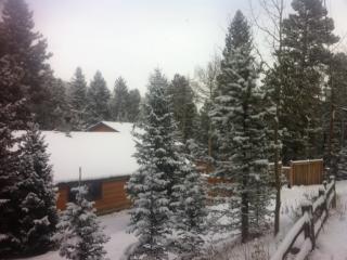 166 Timber Trl, Idaho Springs CO  80452-9532 exterior