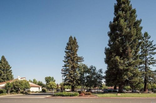 529 Perkins St, Ukiah, CA 95482-4508