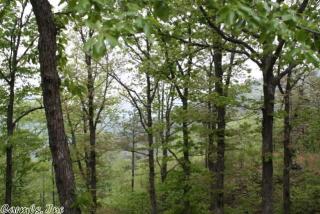36 Hawk Ln, Smithville, OK 74957