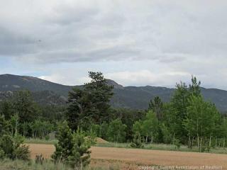 435 Willow Way, Fairplay, CO 80456-0407