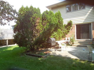 1317 Hawkins Ave, Downers Grove IL  60516-3790 exterior