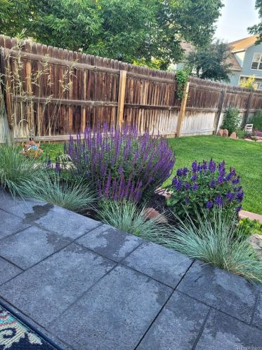 5273 Zeno Way, Aurora CO 80015-2359 exterior