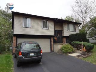 5823 Crestwood Rd, Matteson IL  60443-1123 exterior