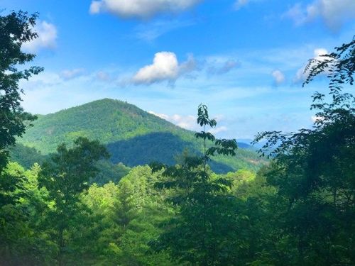 141 Buck Falls Rd, Highlands, NC 28741
