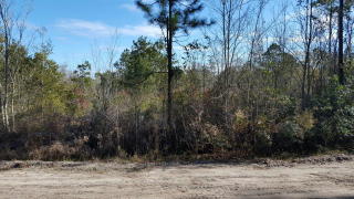 1715 Astoria Rd, Waycross, GA 31503-6459