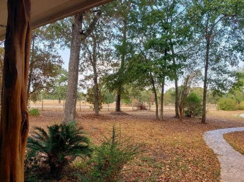 12168 Clint Parker Rd, Conroe TX  77303-3112 exterior