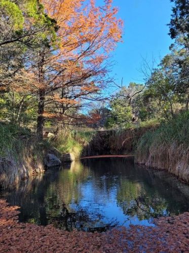 220 Kothmann Rd, Mount Sharp, TX 78620-3535