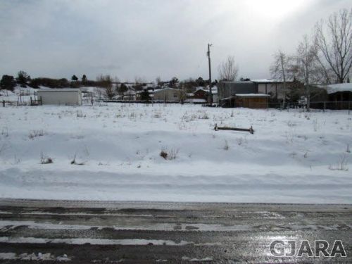 904 Spring St, Collbran, CO 81624-9635