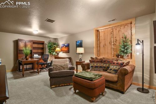 133 Elk Grove Ln, Woodland Park CO 80863-9171 exterior