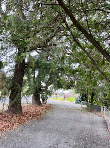 1258 Lucas Rd, Lodi, CA 95242-9204