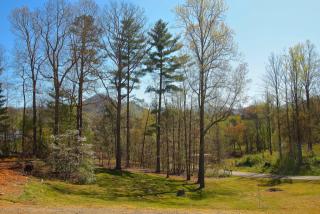 796 Crestview Dr, Leicester, NC 28748-6700