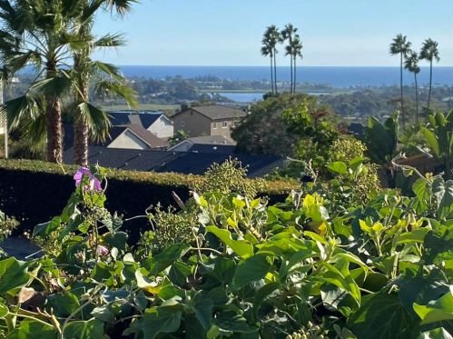 1750 Laurel Rd, Oceanside, CA 92054-6150