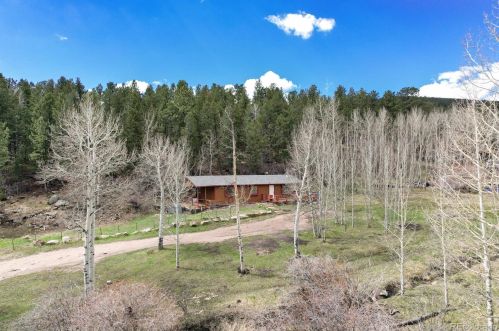 604 Pine Dr, Bailey, CO 80421-2326