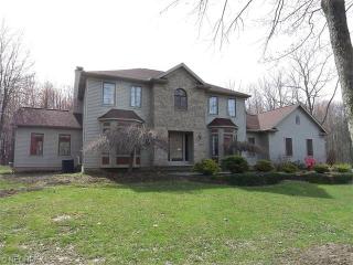 11325 Stratford Ridge Ln, Concord Township, OH 44024-9668